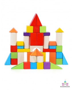 Wooden Colored Blocks (100 Pcs)